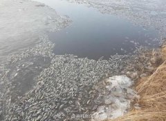 ���ױ���һ�������������� �ٷ�����������(ͼ)